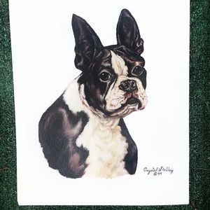 Boston Bulldog lithograph art print 8xx10”
